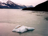 Alaska Cruise 2000