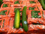 �썑�炿�̖��