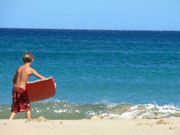 ����̃r�[�`�T��