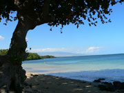 ����̃r�[�`�T��