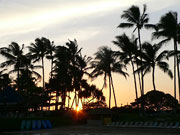 �ׂ�Hilton��sunset 