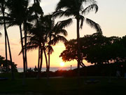 �ׂ�Hilton��sunset 