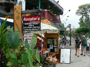 ���[�X�^�[�̃n���C���x�X�H