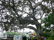 �A���B�h���C�u