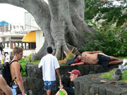 �A���B�h���C�u