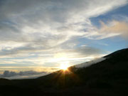 �}�E�i�P�A��������̗[��