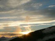 �}�E�i�P�A��������̗[��