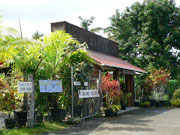 �T�E�X�E�R�i�E�t���[�c�V���b�v