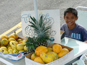 �t���[�c����̒j�̎q