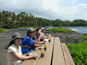 �C�����Ȃ��璋�H 