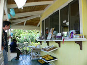 What�fs Shakin�f�̓X��