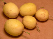 bigisland��passion fruites 