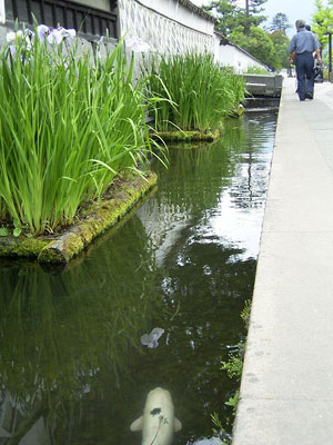 2005�N�����{�c�A�[