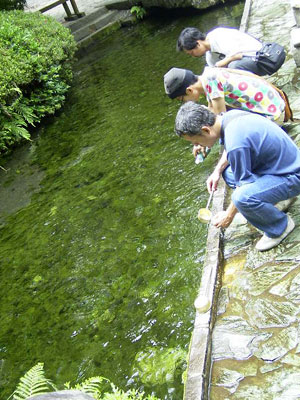 2005�N�����{�c�A�[